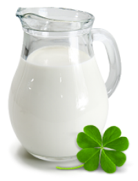 Сайт каталог оптовой молочной компании