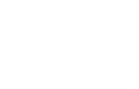 Landing page для устройства «SpinCam»